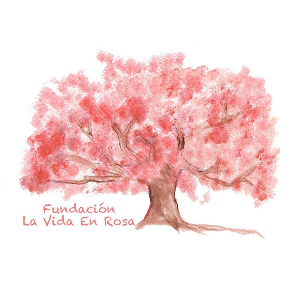 FUNDACIÓN LA VIDA EN ROSA
